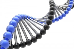 xet nghiem ADN gen di truyen